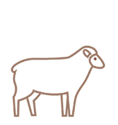 Agriturismo con pecore
